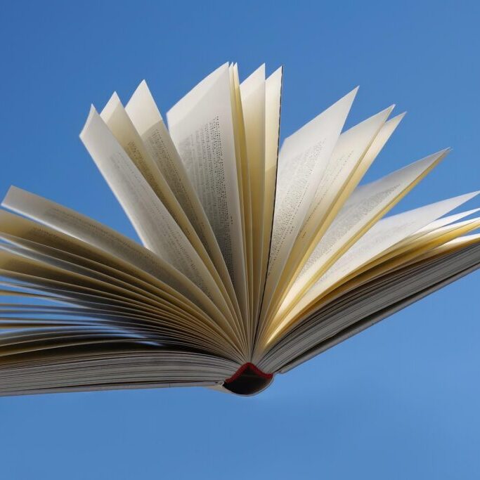 kranich17-book-8664639_1920